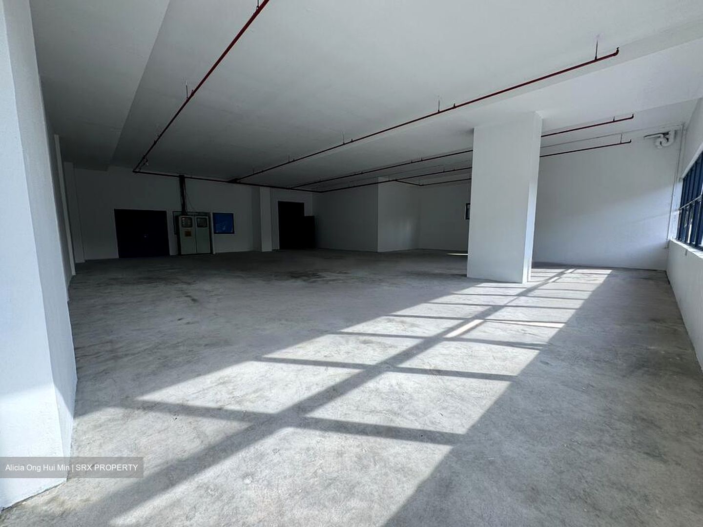 Loyang Industrial Estate (D17), Factory #497047401